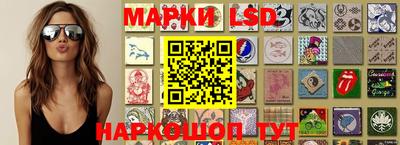 ПСИЛОЦИБИНОВЫЕ ГРИБЫ Аргун