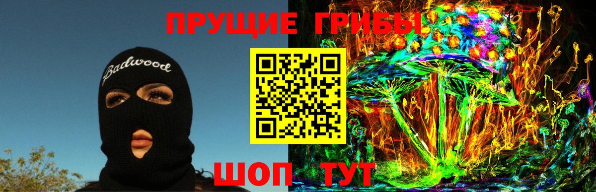 купить наркотики сайты  Нововоронеж  Псилоцибиновые грибы GOLDEN TEACHER 