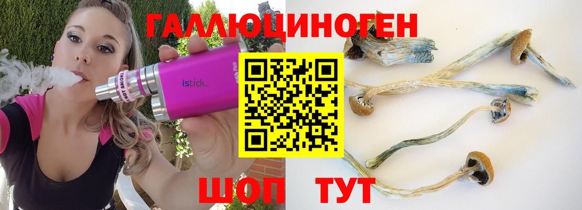 Псилоцибиновые грибы MAGIC MUSHROOMS  Вход с VPN  Нововоронеж 