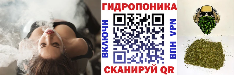 Бошки Шишки тримм  продажа наркотиков  Нововоронеж 